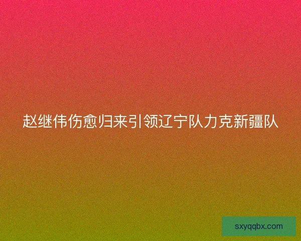 赵继伟伤愈归来引领辽宁队力克新疆队